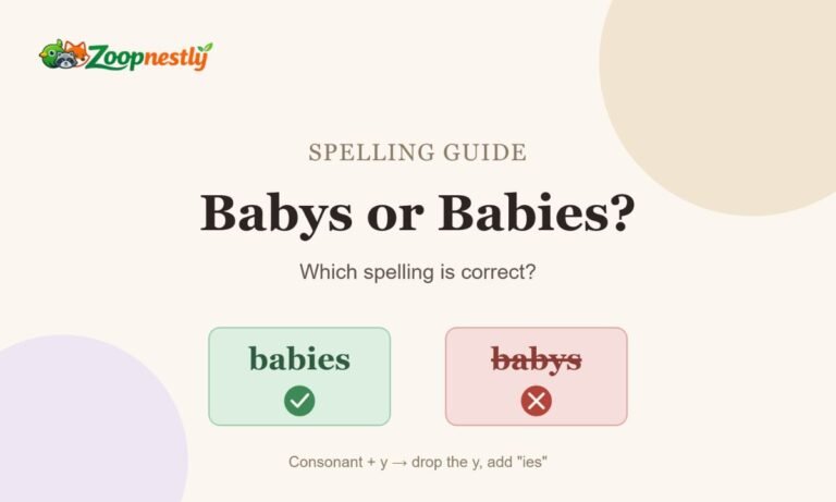 Babys or Babies: Which Spelling Is Correct?
