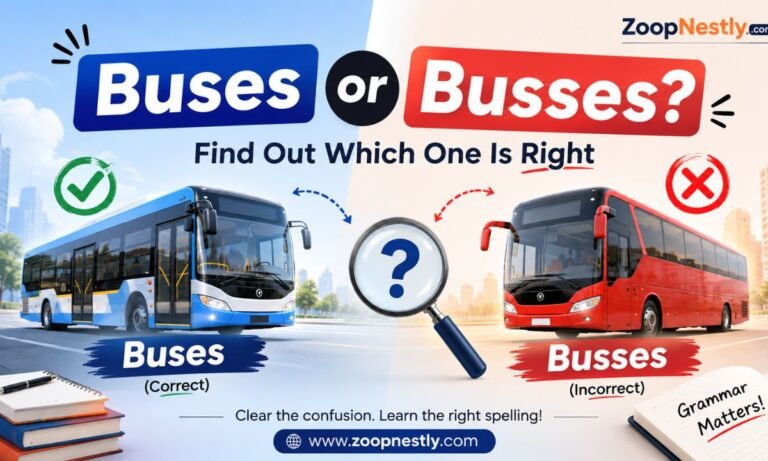 Buses or Busses? Find Out Which One Is Right