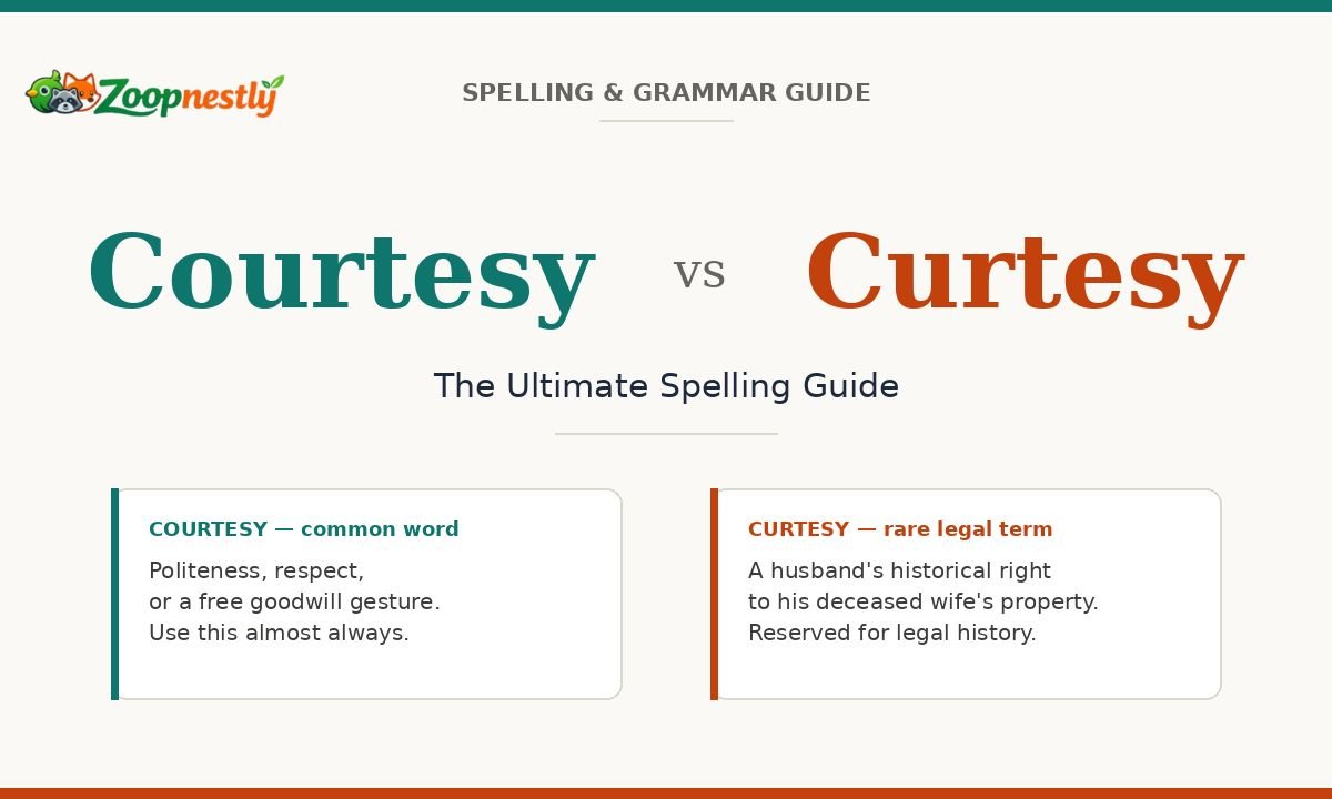 Courtesy vs Curtesy: The Ultimate Spelling Guide