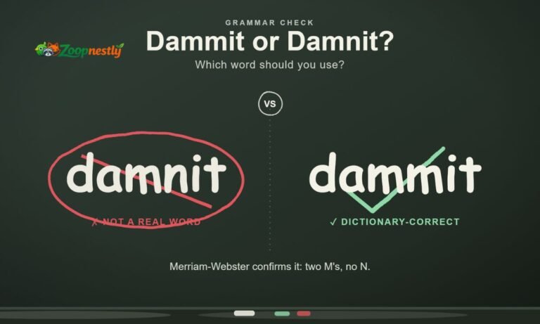 Dammit or Damnit Which Word Should You Use