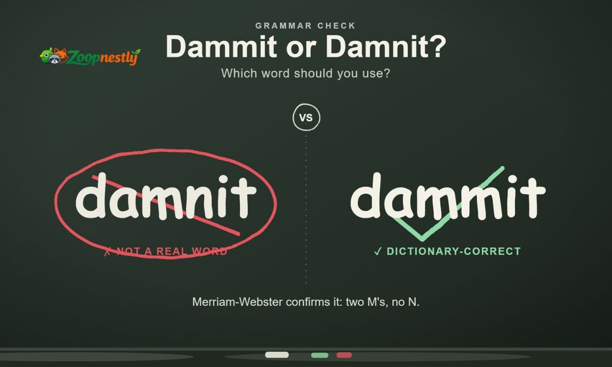 Dammit or Damnit Which Word Should You Use