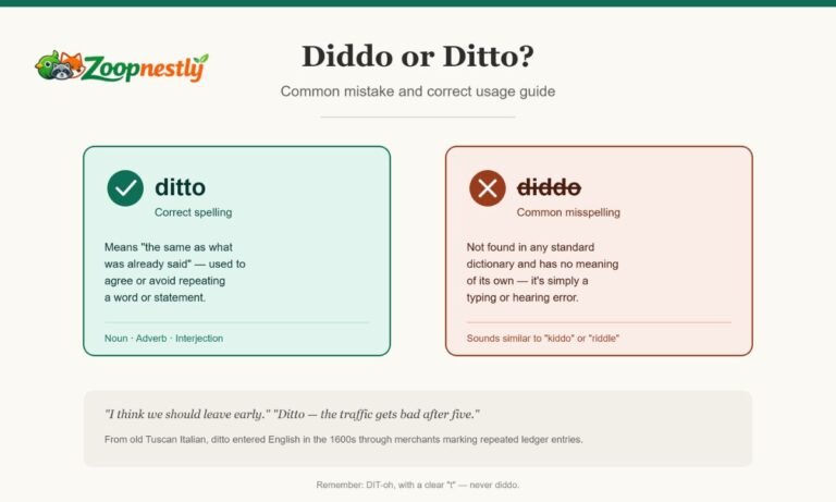 Diddo or Ditto: Common Mistake and Correct Usage Guide