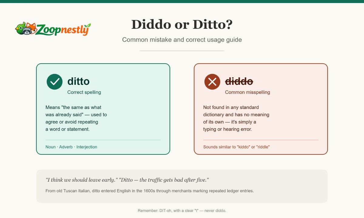 Diddo or Ditto: Common Mistake and Correct Usage Guide