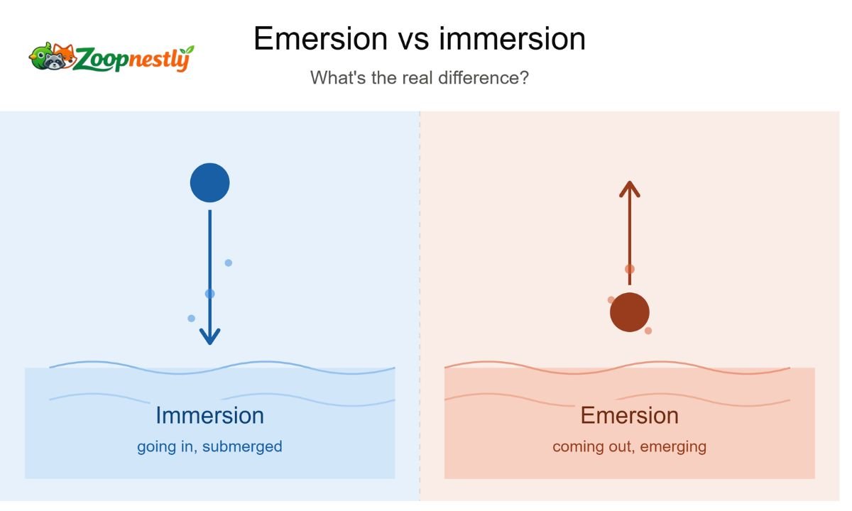 Emersion vs Immersion: What's the Real Difference?