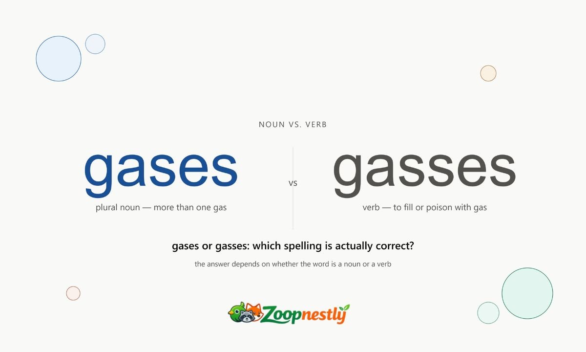 Gasses or Gases: Which Spelling Is Actually Correct?