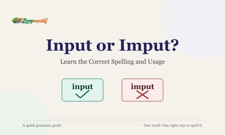 Input or Imput? Learn the Correct Spelling and Usage
