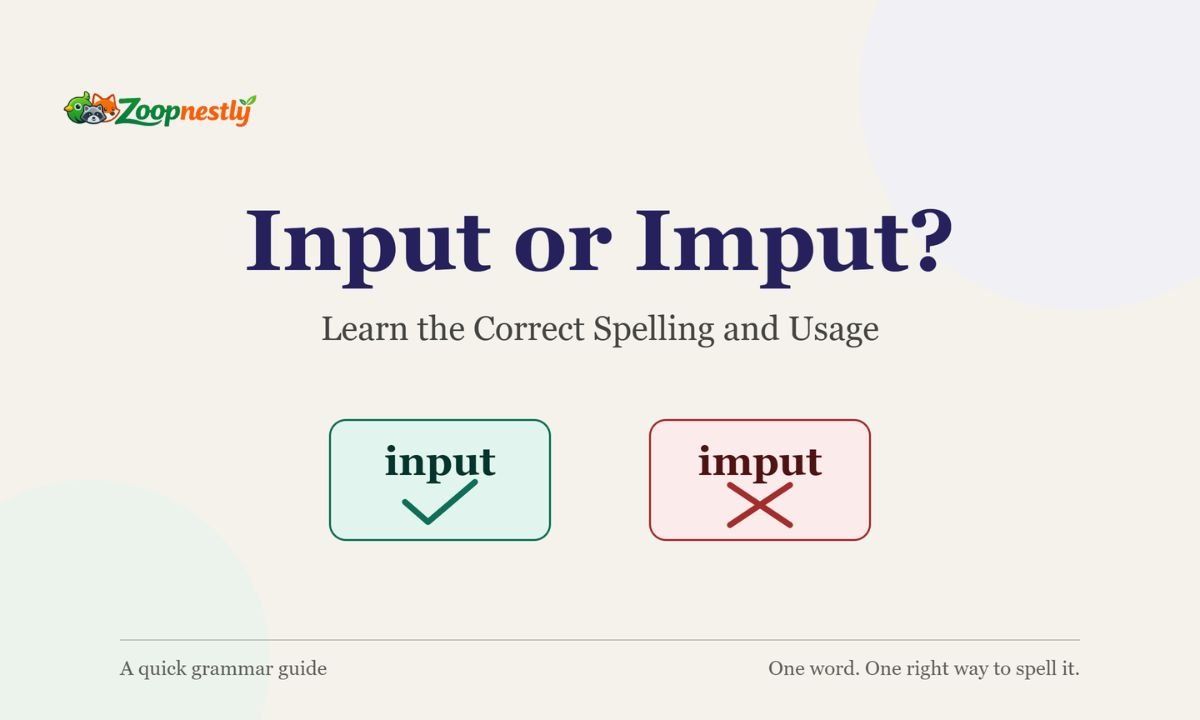 Input or Imput? Learn the Correct Spelling and Usage
