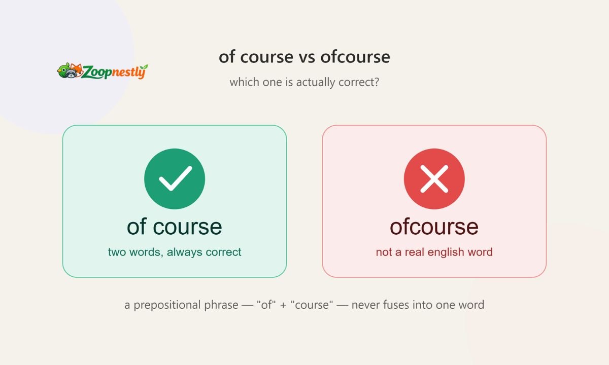 Of Course vs Ofcourse — Which One Is Actually Correct