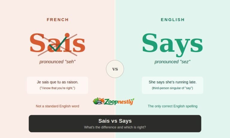 Sais vs Says What s the Difference and Which Is Right