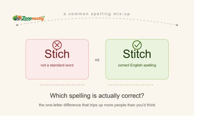 Stich vs Stitch Common Spelling Mistake Explained