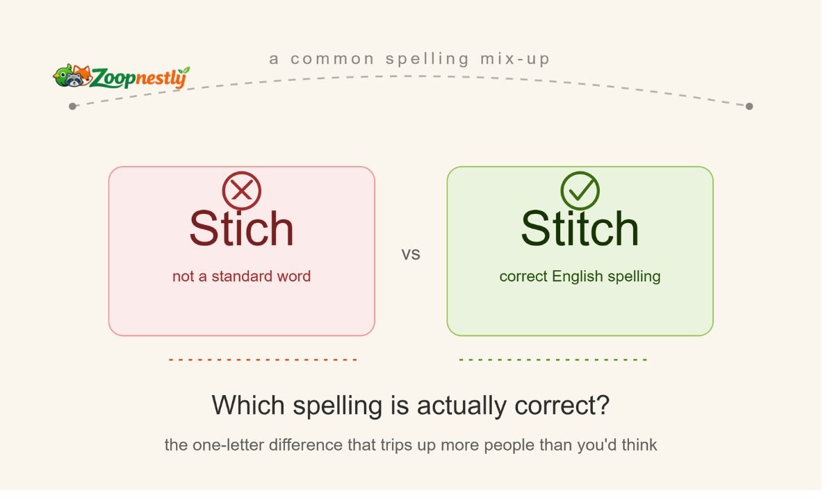 Stich vs Stitch Common Spelling Mistake Explained