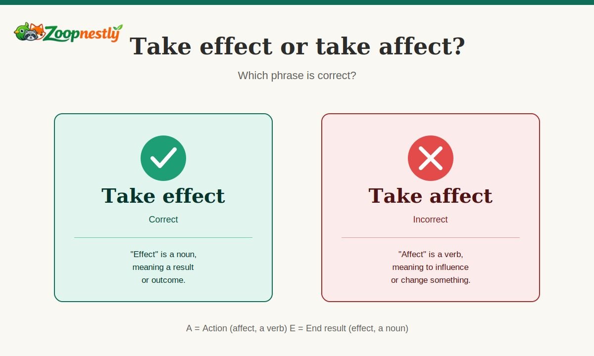 Take Effect vs Take Affect: Which Phrase Is Correct?