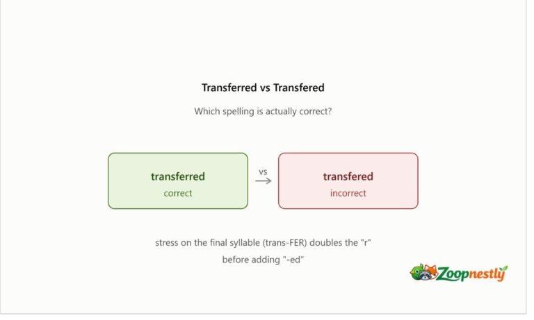 Transferred vs Transfered Which Spelling Is Actually Correct