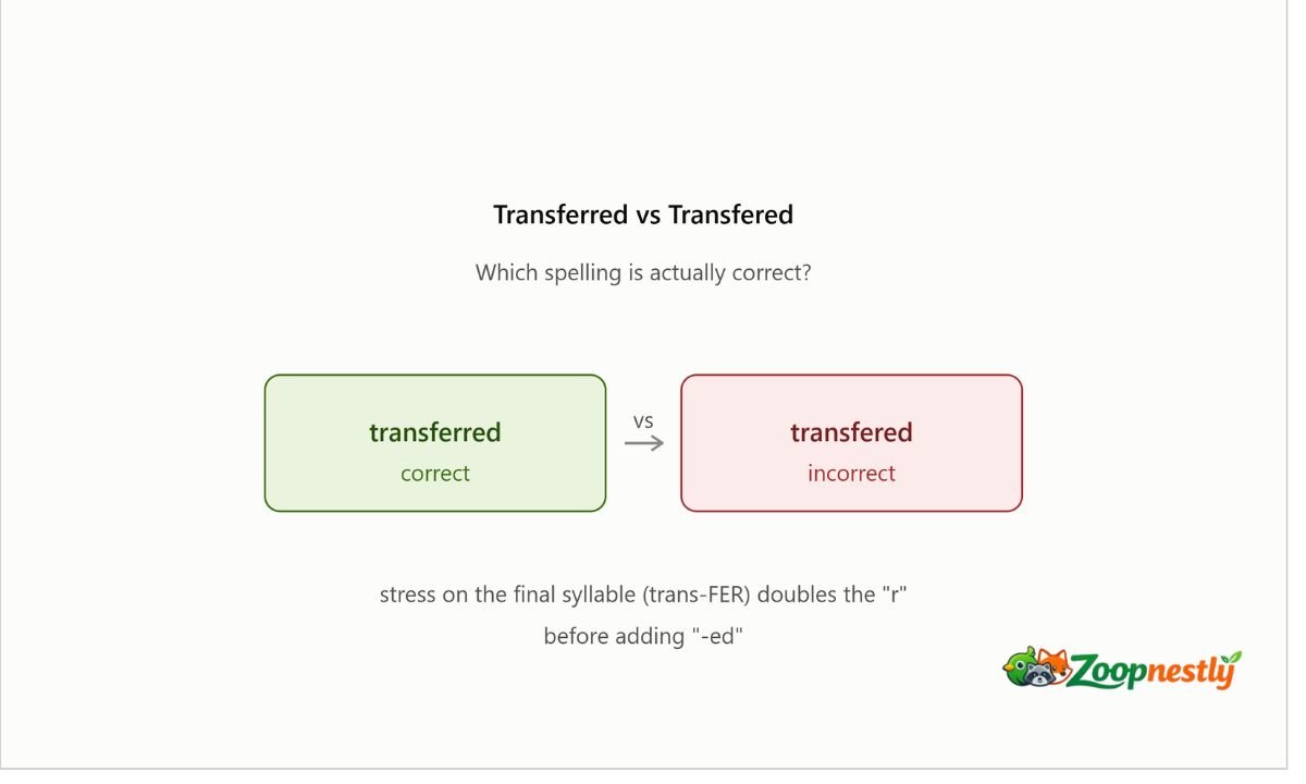 Transferred vs Transfered Which Spelling Is Actually Correct
