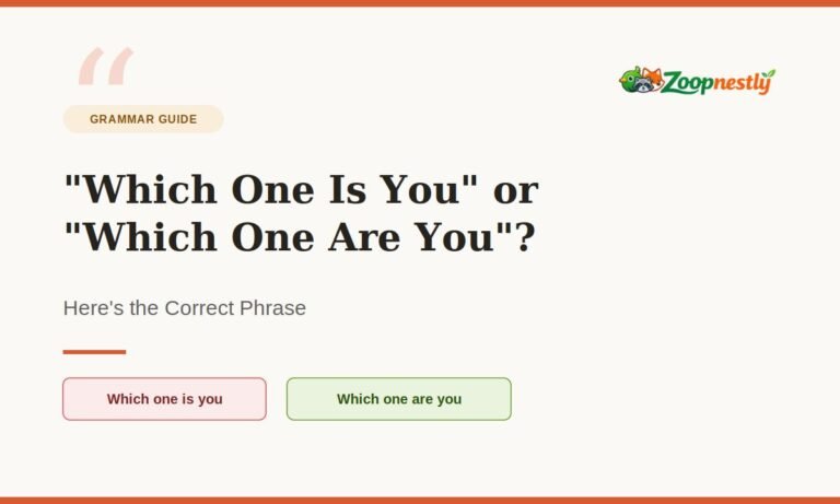 "Which One Is You" or "Which One Are You"? Here's the Correct Phrase